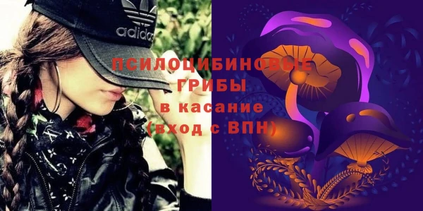 apvp Баксан