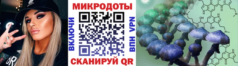 Галлюциногенные грибы Psilocybe  Феодосия 